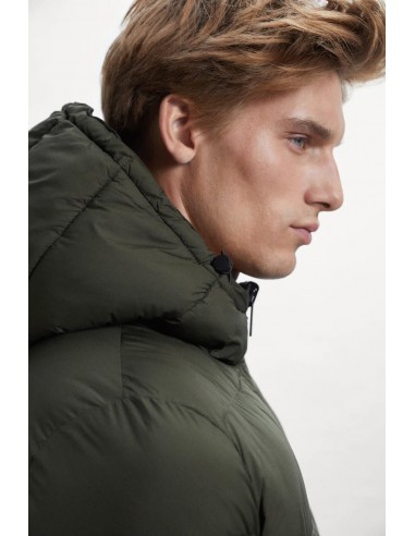 Plumas Reversible Forest-Night Plumas Reversible Forest-Night