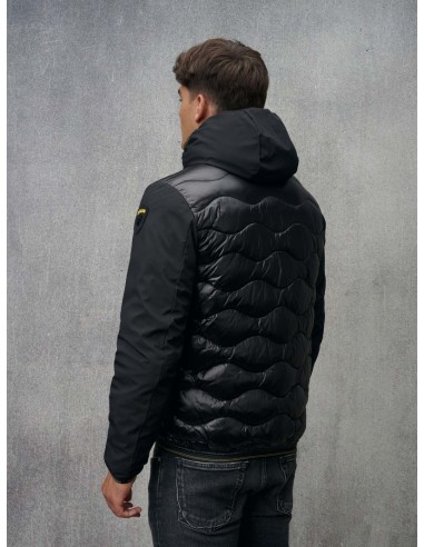 Plumas Albert Black Plumas Albert Black