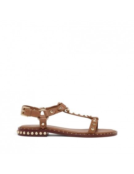 Patsy Soft Brasil Cinnamon