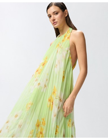 Vestido largo plisado con estampado...