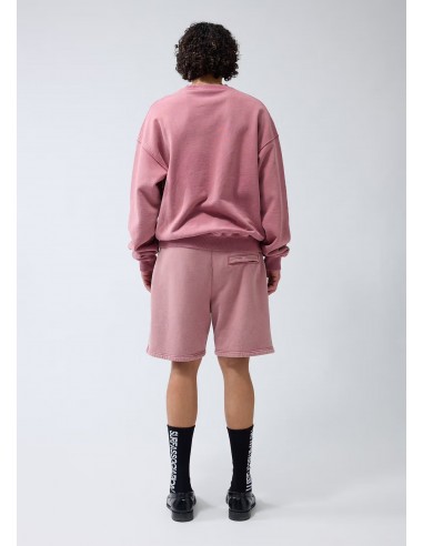 Sudadera Logo Crewneck Rosa Lavado Sudadera Logo Crewneck Rosa Lavado