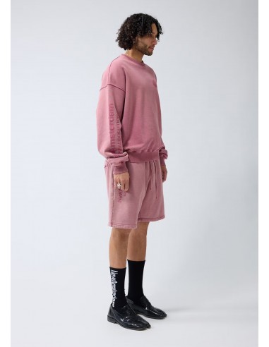 Sudadera Logo Crewneck Rosa Lavado Sudadera Logo Crewneck Rosa Lavado