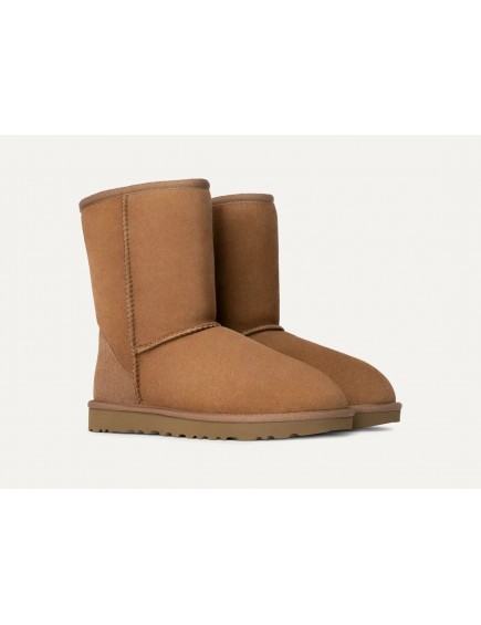 Classic Short II Chestnut 2