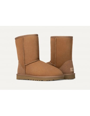 Classic Short II Chestnut