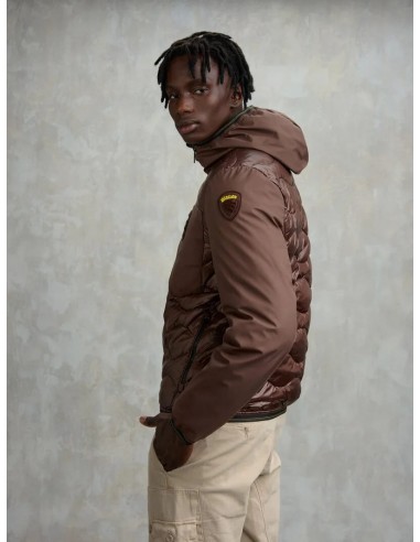 Chaqueta Albert Chestnut