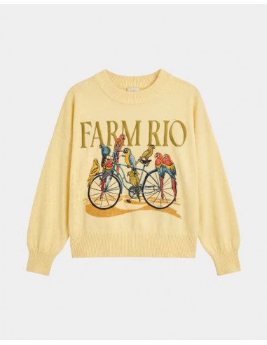 Jersey Birds Bicycle Embroidery