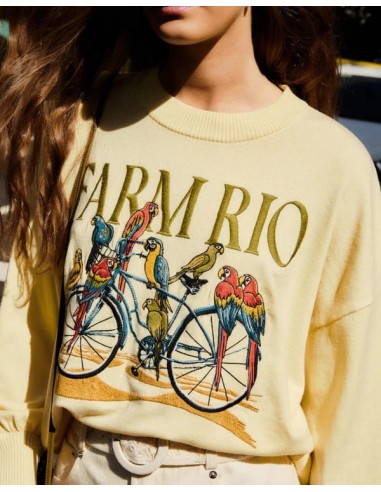 Jersey Birds Bicycle Embroidery