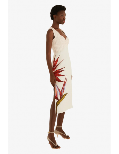 Vestido Lino Strelitzia