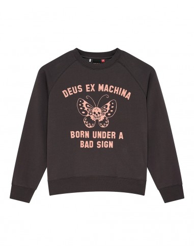 Sudaderas Mariposas Antracida