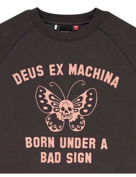 Sudaderas Mariposas Antracida 2