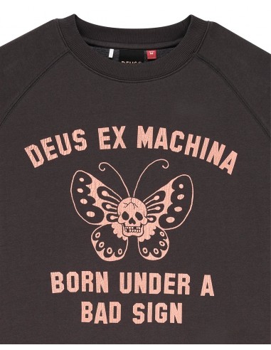 Sudaderas Mariposas Antracida