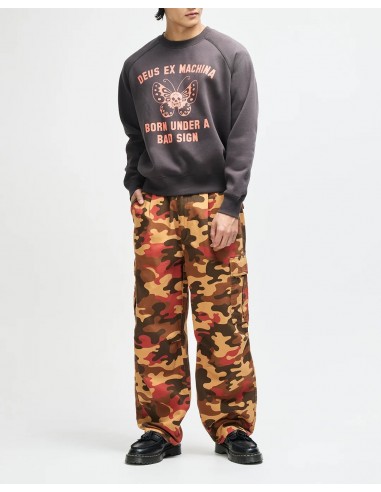 Sudaderas Mariposas Antracida