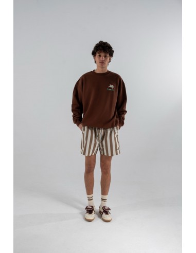 Sudadera Marrón Pegasus