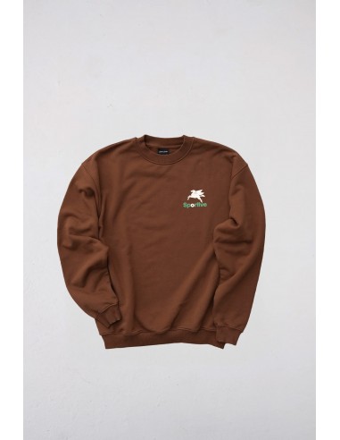Sudadera Marrón Pegasus