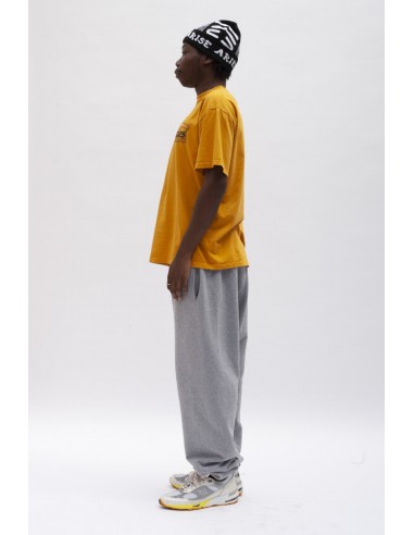 Camiseta Temple Ocre