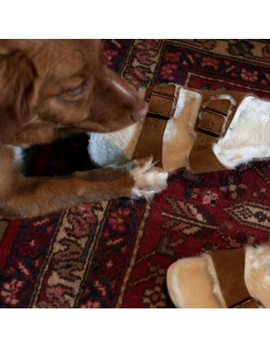 Arizona Lana Borrego Mink