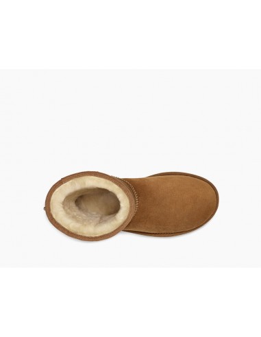 Classic Short II Chestnut