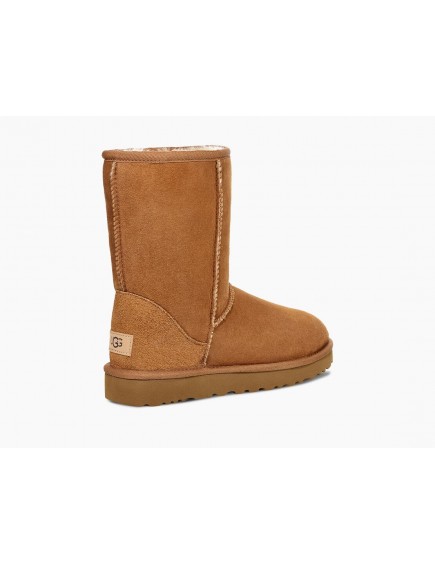 Classic Short II Chestnut 2