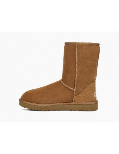 Classic Short II Chestnut