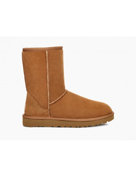Classic Short II Chestnut