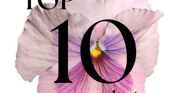 Los Top 10 de Anna