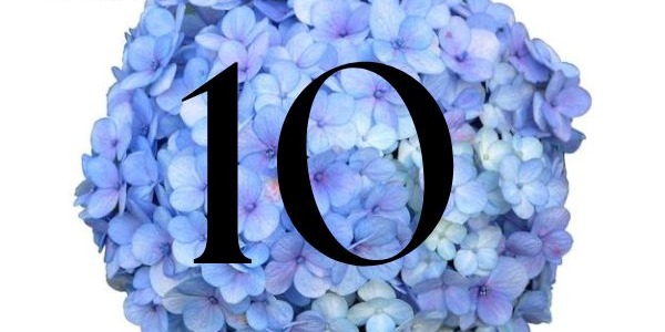 Los Top 10 de Mónica